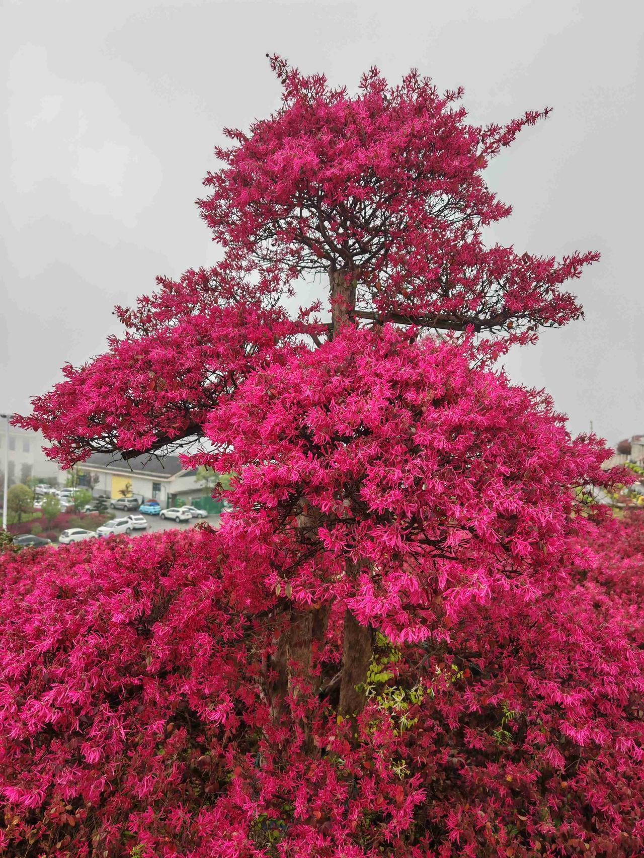 带定位晒今日生活 今天状态超棒，心情轻松愉快，像只自由的小鸟。外面阳光灿烂，是个