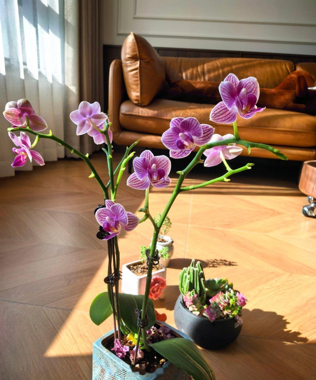 情人节红包情人节，巴菲特爱情/婚姻十大金句： 1. 无论对男人还是女人你一生中要