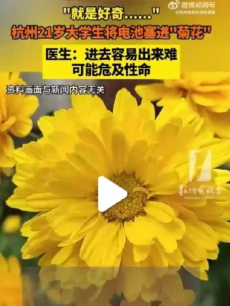 “菊花”冒险记：21 岁小伙与 5 号电池的惊魂遭遇

在这个充满奇思妙想的世界
