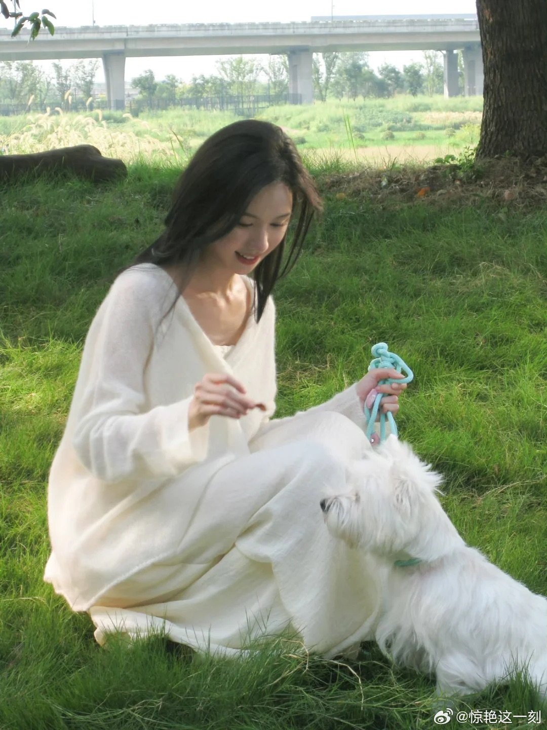 陈都灵聊宠物出行太共情了 陈都灵在发布会上的养宠分享太有共鸣了，从日常带宠物出门