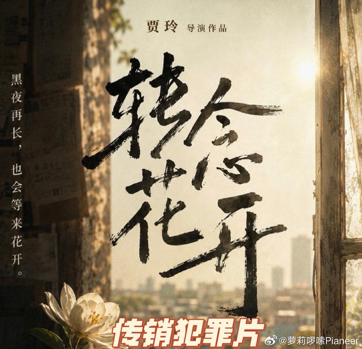 贾玲减肥成功后坚持健身健身一旦养成就不会轻易断掉，多多期待《转念花开》 