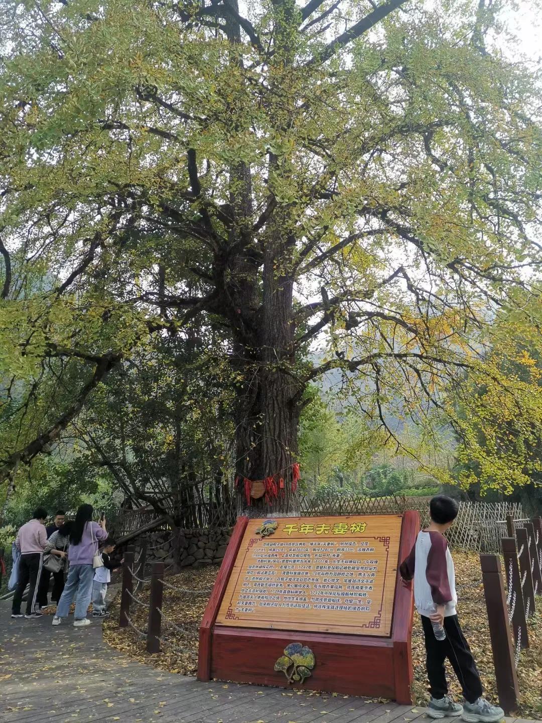 弘一法师曾说:
“话多、错多、是非多，
心里明白，嘴上不说，
管住嘴宁可糊涂也不