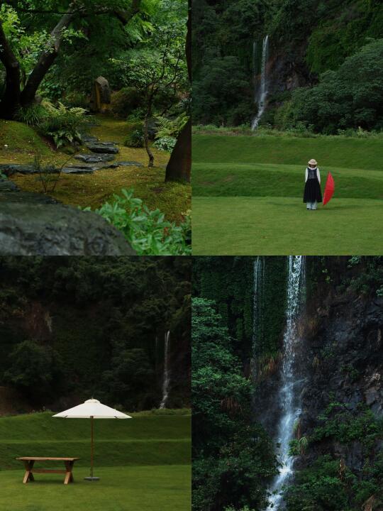 山山园林｜我在西湖以西感受夏日的绿浪!