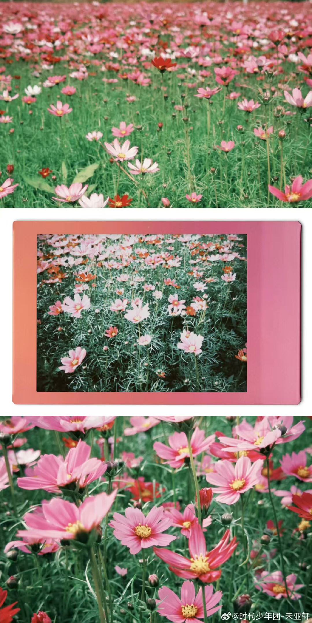 宋亚轩妇女节送花宋亚轩祝各位妇女节快乐宋亚轩祝各位妇女节快乐～给大家送花！！！ 