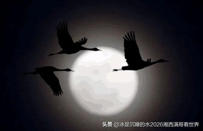 转发分享2张喜欢摄影的朋友拍摄的佳作：
夜归。