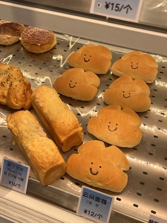 （沈阳西塔）新发现的！！好乖啊啊！快去！！