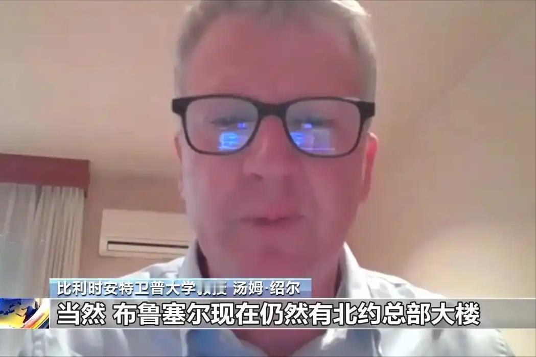 曾经号称“铁板一块”的北约，被欧洲学者当众掀了遮羞布，一句话点破真相：看着还在正