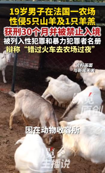“没救了！”法国马赛附近，一家动物收容所农场里的山羊接连受伤，主人装监控后竟拍下