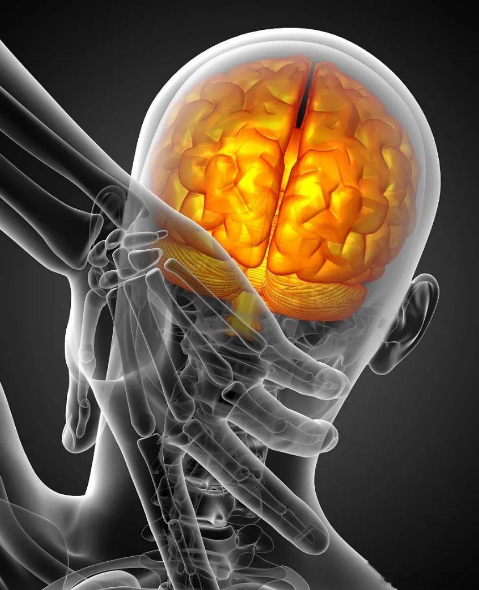 ​拯救“电脑脖”　　基本姿势：每次做各项训练动作前，先自然站立，双目平视，双脚略