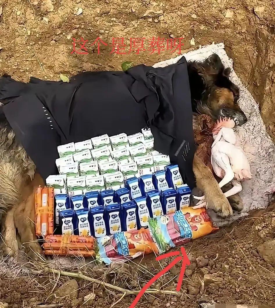 河南一男子的狗狗死了。

 挖了个坑，弄了四包火腿肠， 两箱牛奶，还加一只大公鸡