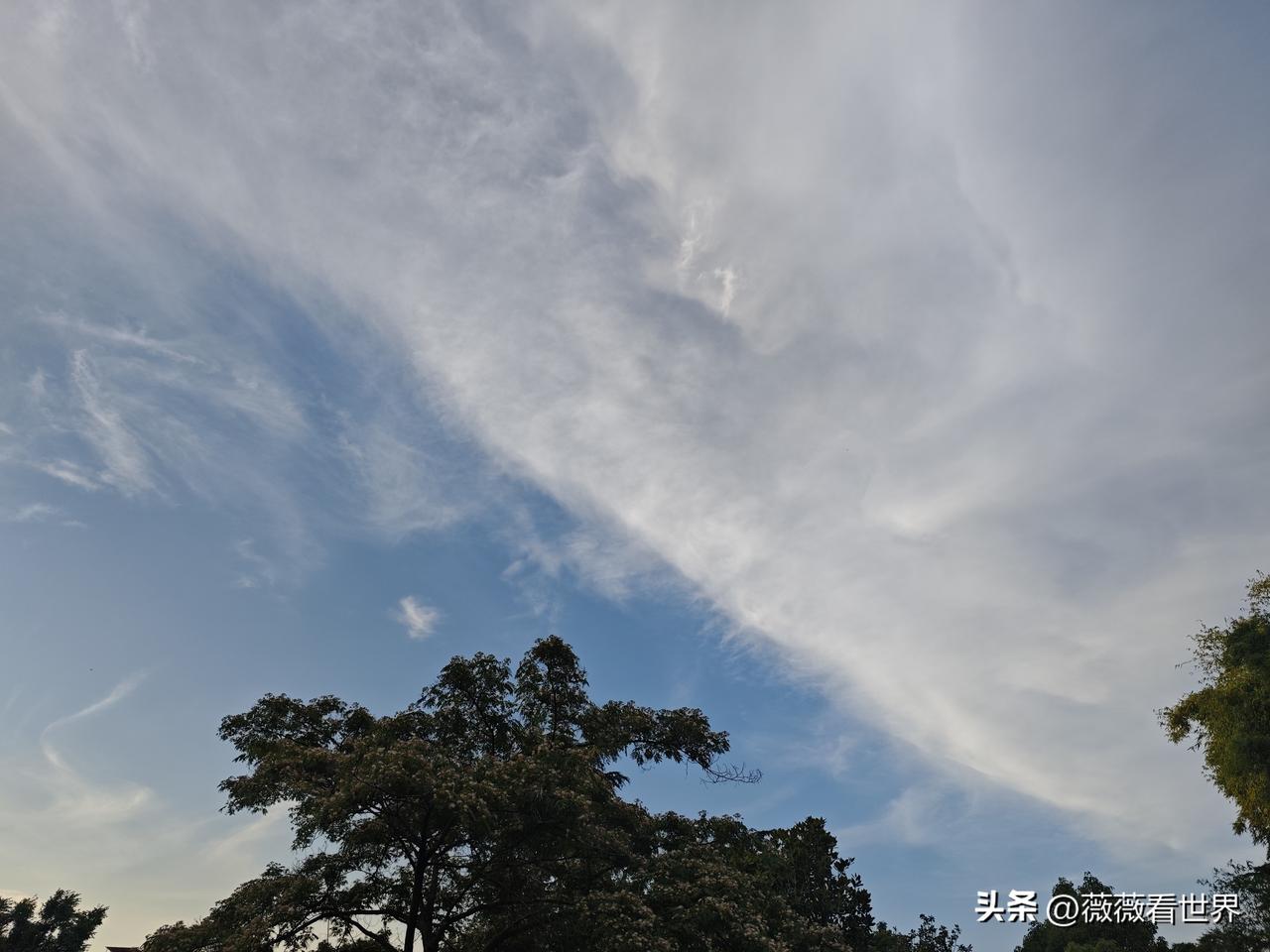 我觉得是善良不，它不是一种简单的性格，而是一种能力，一种勇气，一种在权衡利弊后依