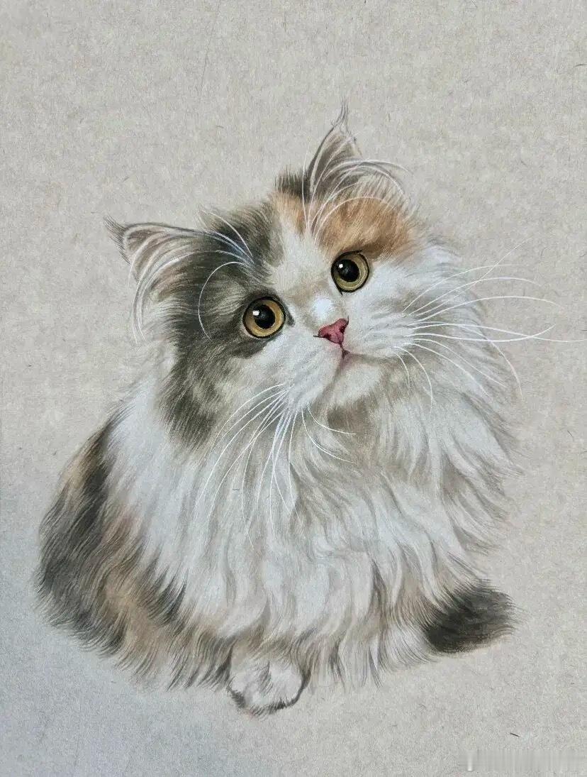 早安 “灵动软萌的猫咪，栩栩如生…”熊猫守护者遇见美好白鹿母校发文