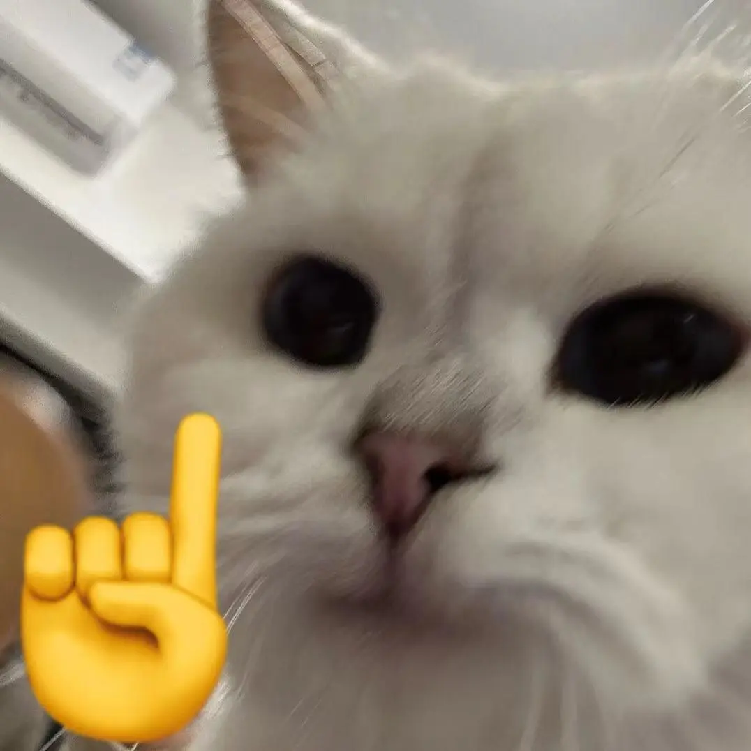 两年前就有预感这场文化交流大碰撞