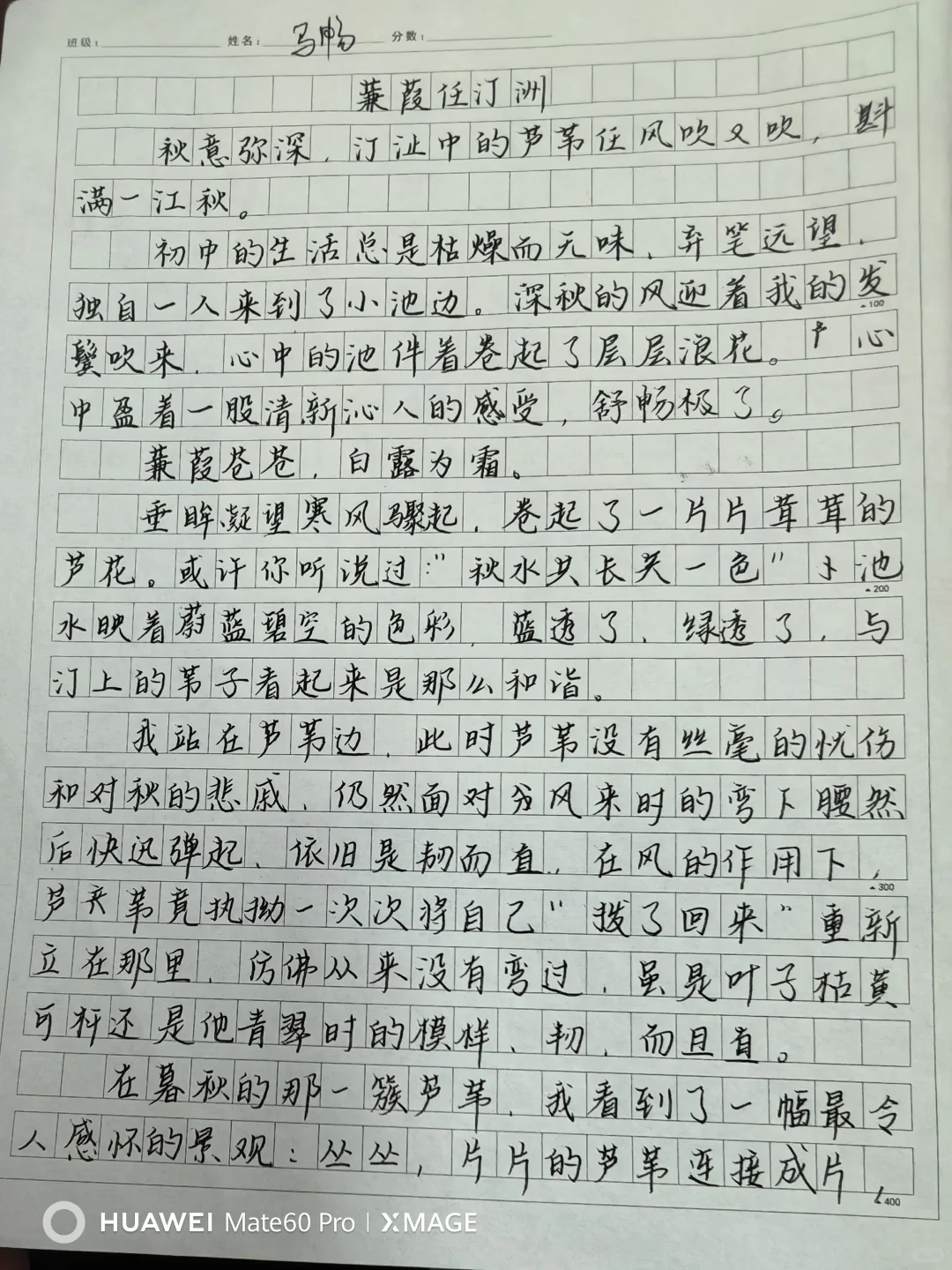 这次作文孩子们学会了把深秋写成秋意弥深