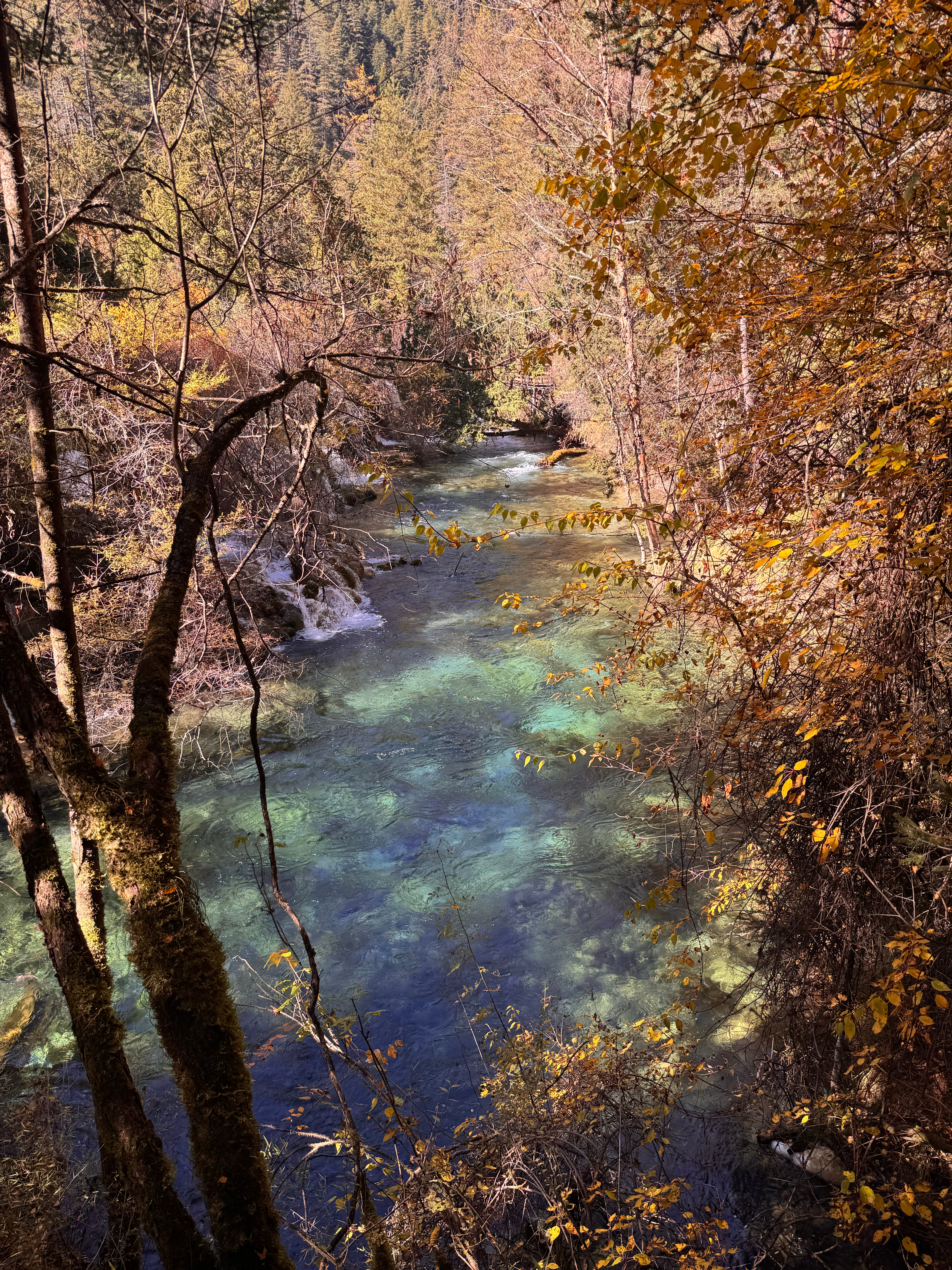 闺蜜们先看！！我才走了3/1吧 秋天一定要来一次九寨沟啊！！！拍照都拍不出它的美
