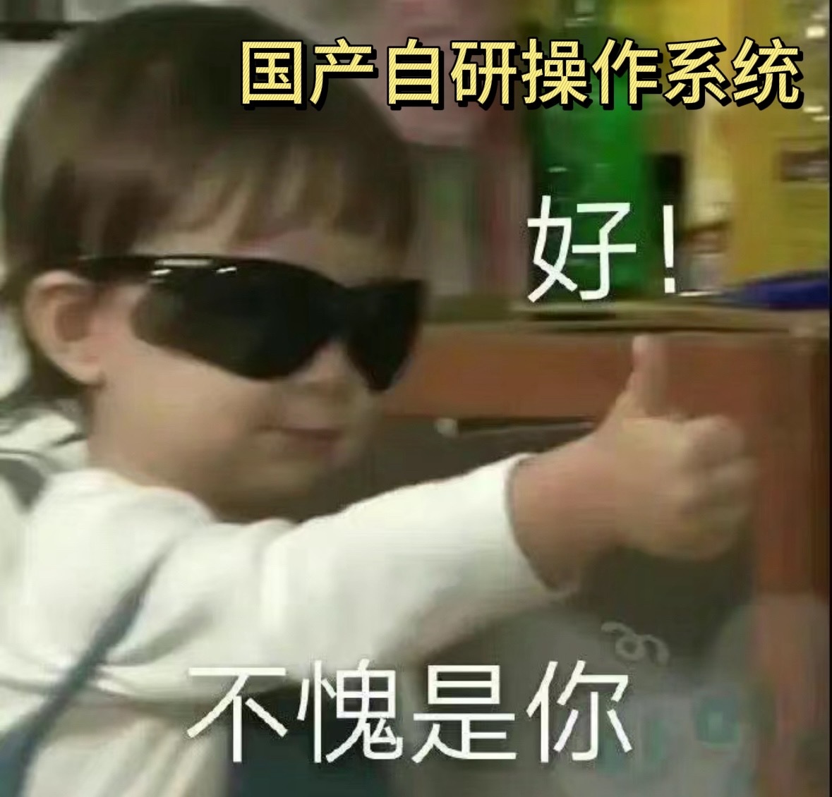 #余承东称纯血鸿蒙实现自主可控#纯血鸿蒙打破技术枷锁，以创新之力开辟出属于我们自