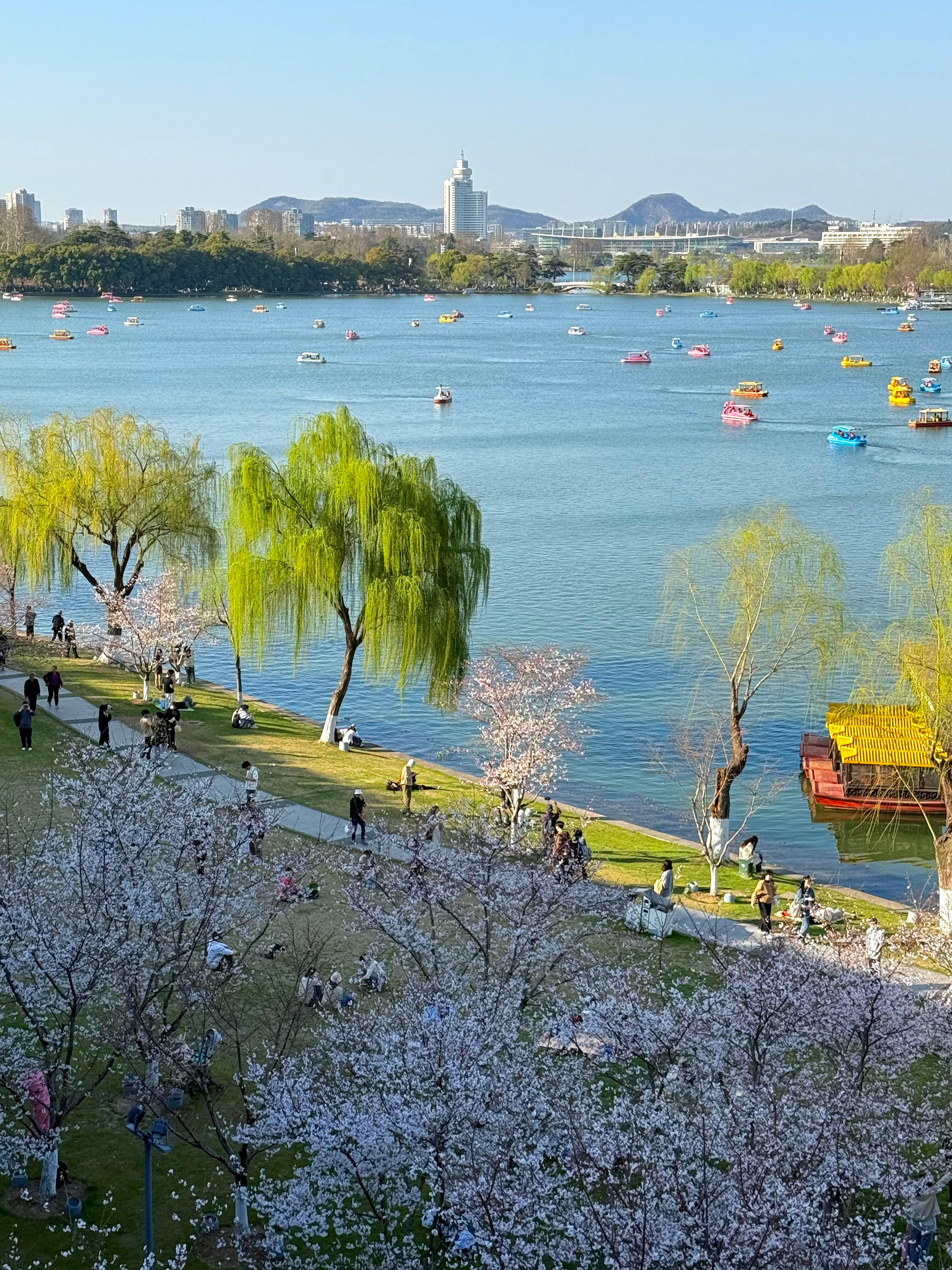 分享【一些南京低成本高质量体验的地方】 ​​​
