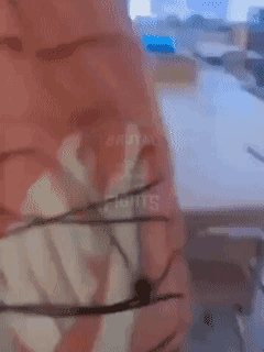 美国某学校，事情起因是白人女孩不小心踩到了一名黑人女孩的新乔丹鞋......
结