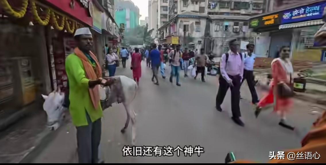 “如果把你空投到印度，你会怎样？”我问老公。“晒成肉干， 再加上一把烈火，烧成灰