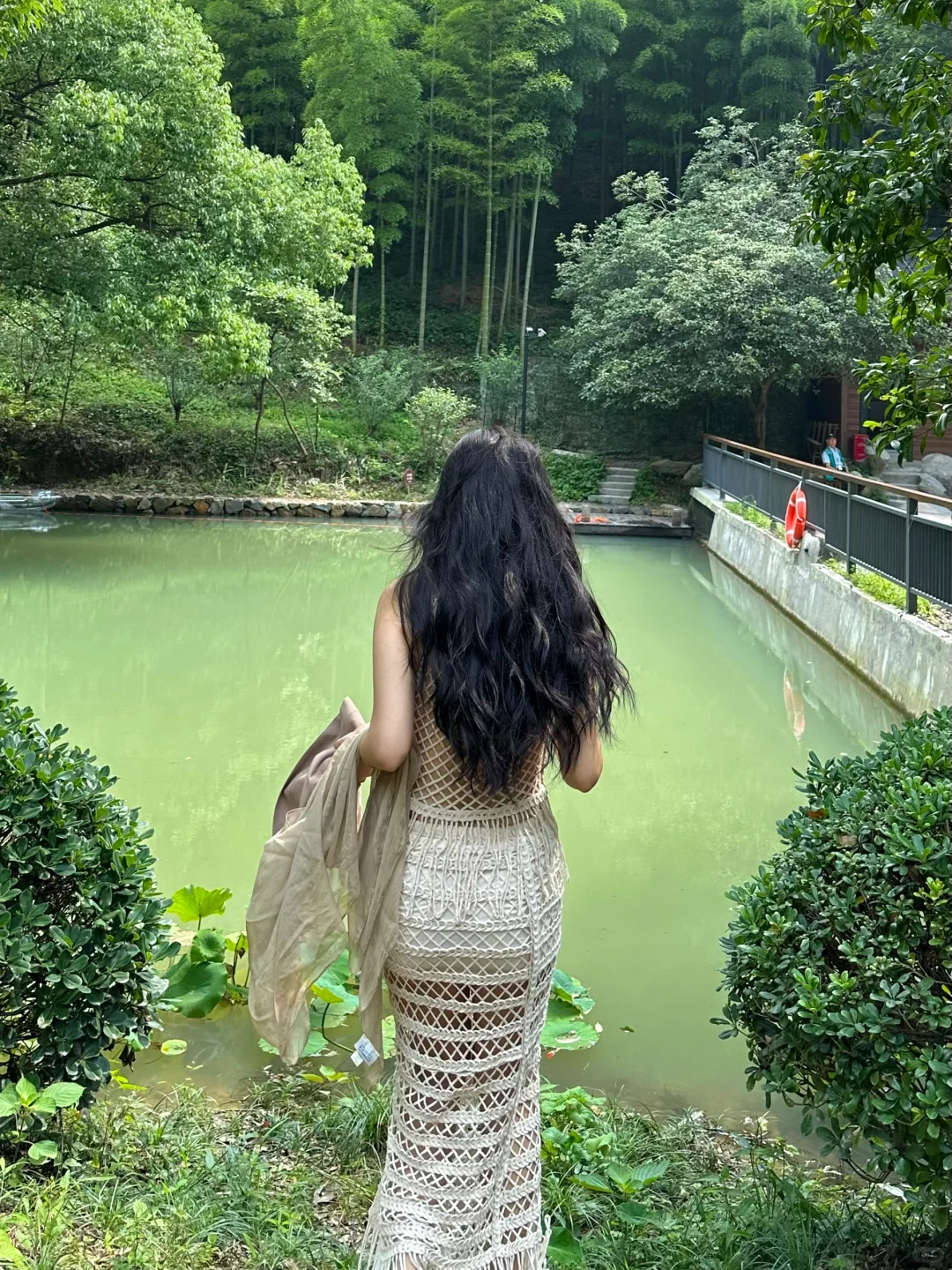 在山里早起的上午🌳