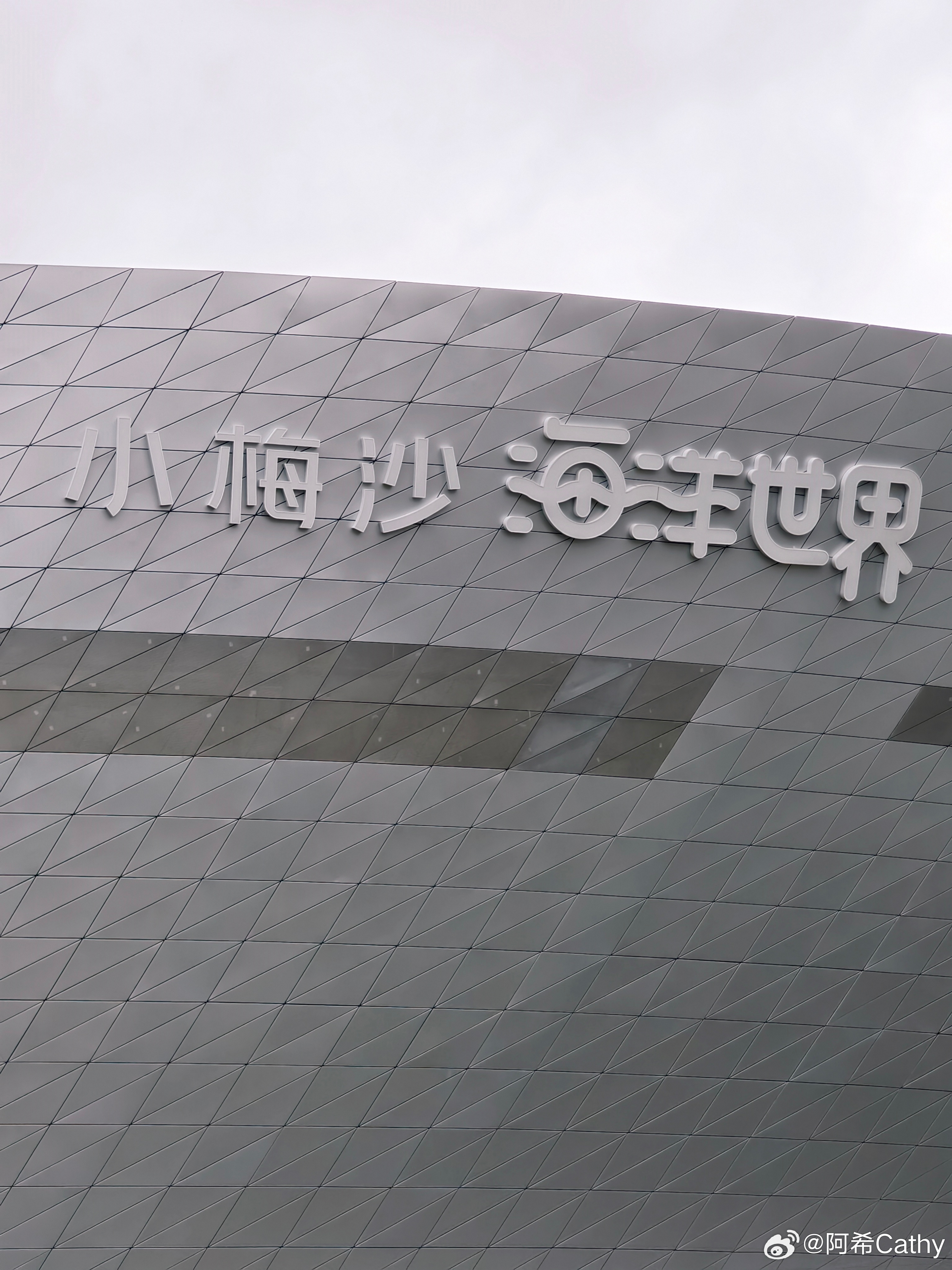 早呀，已经在海洋世界了一拖一第三天