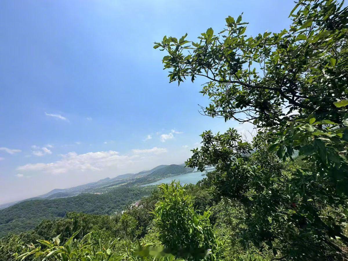 每周一山，继续中，今年的每个周六带娃爬一座山，美景+旅行+遛娃+运动+亲子关系 
