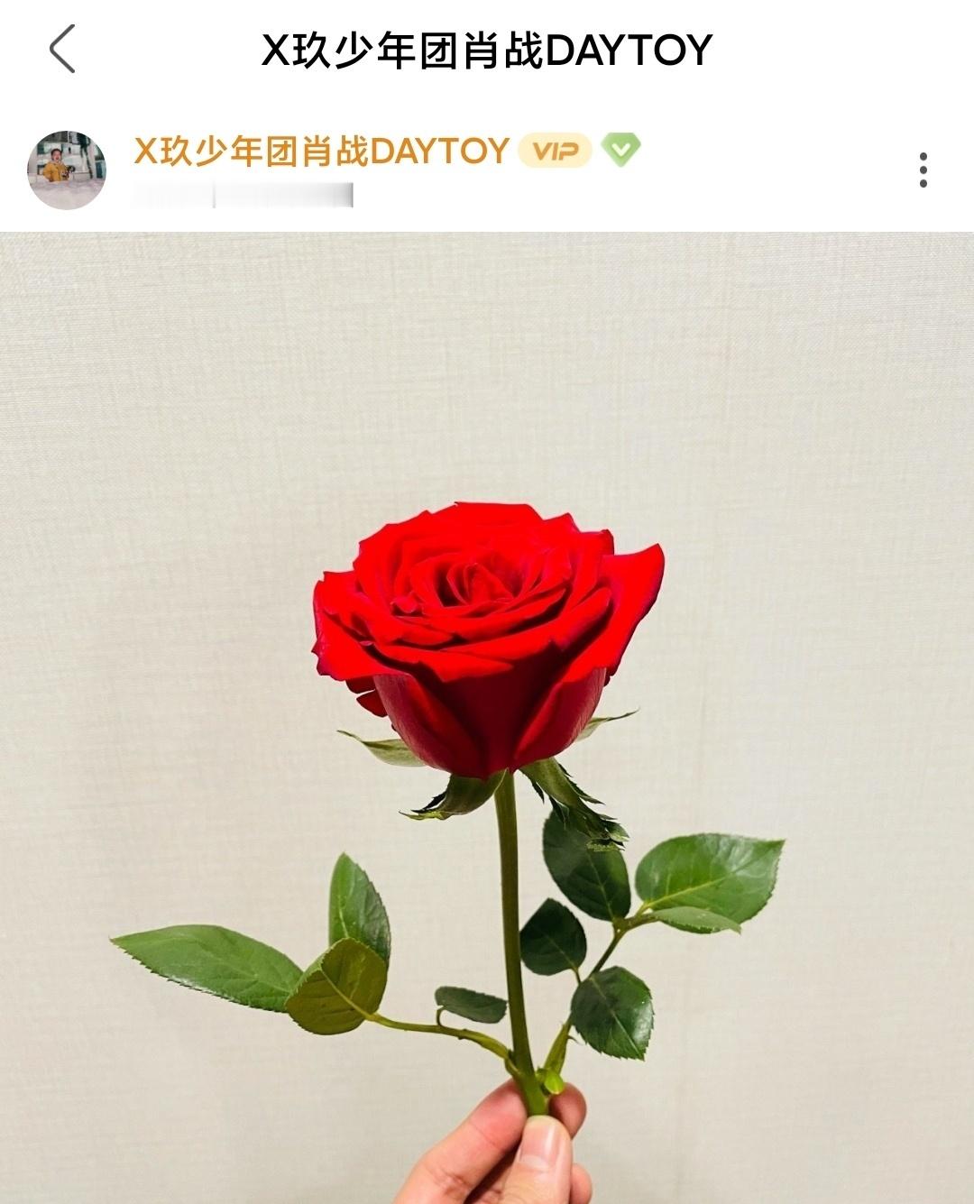 博君一肖 一博玫瑰照的正确打开方式🌹🌹🌹 