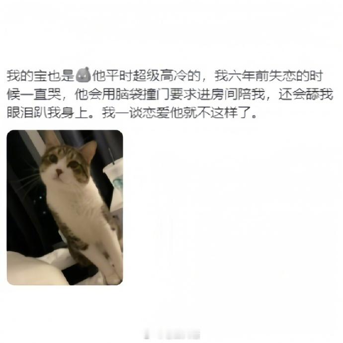 这就是为什么要养猫的原因吧 ​​​