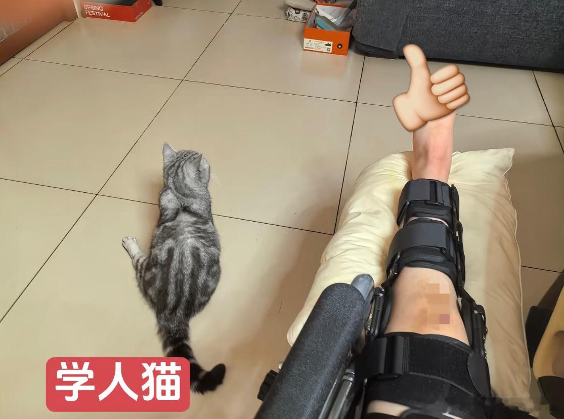 论小猫的学习能力有多强[允悲]我的精神状态凉好暑假冲浪计划 ​​​
