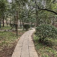 我的今日状态：😁轻松愉快
我这里的天气：☀️晴天