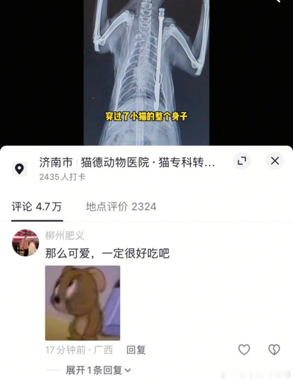 原视频是一只猫猫出门玩的时候被人射箭所伤，箭扎得很深，一看评论1959 