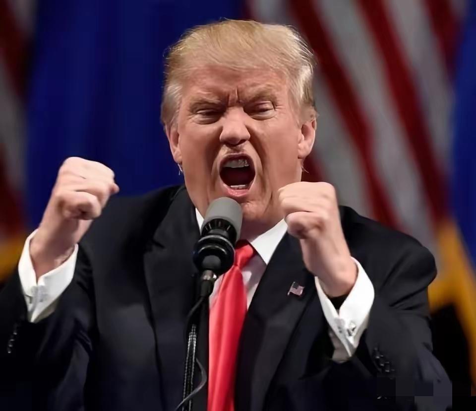 抢了人家的，又怕别人从他的手里抢走，原来强盗也有害怕的时候。
1月10号，特朗普