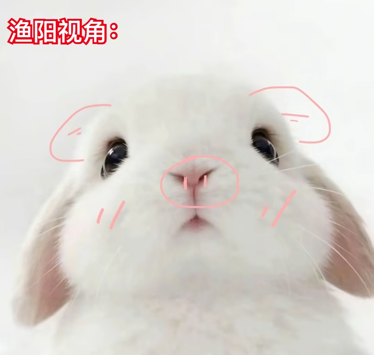 你说这怎么受得了？！ 