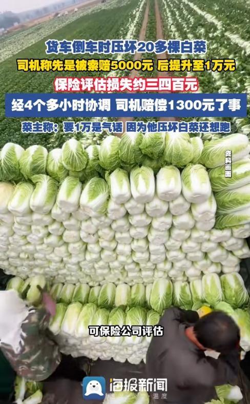 半挂车司机葛师傅压坏20多棵白菜，被索要1万元赔偿，最终掏了1300元才得以脱身