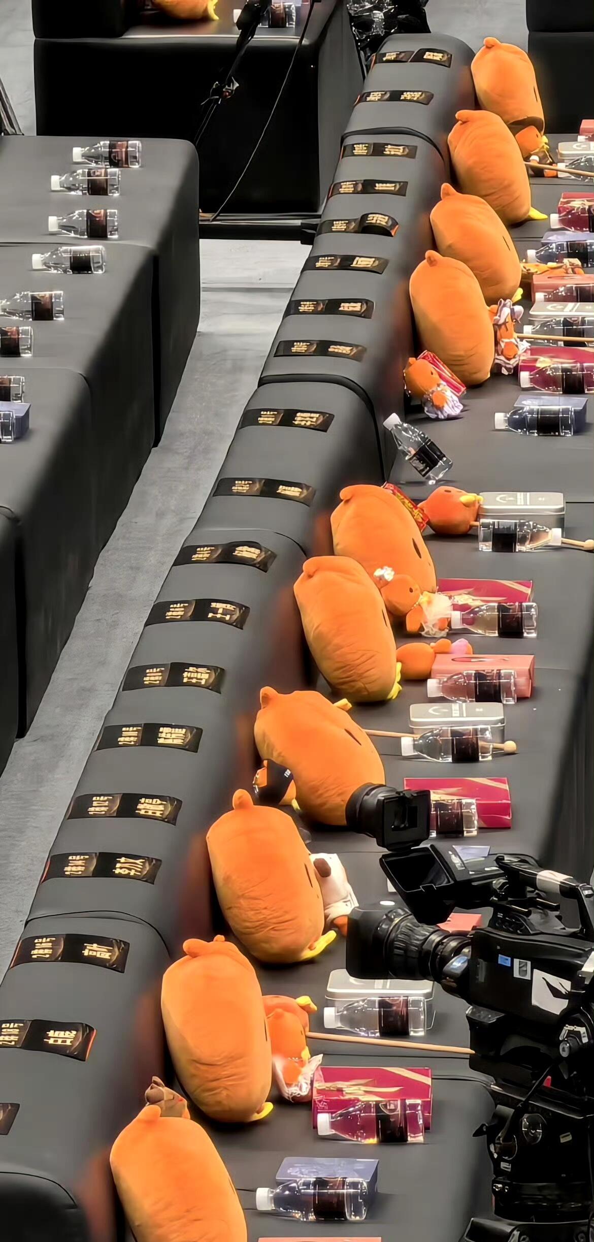 微博之夜第二排第三排座位图 