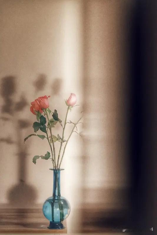 “所谓岁月静好，不过是有人替你负重前行，而你恰好懂得感恩。”

晨光洒向窗台时，