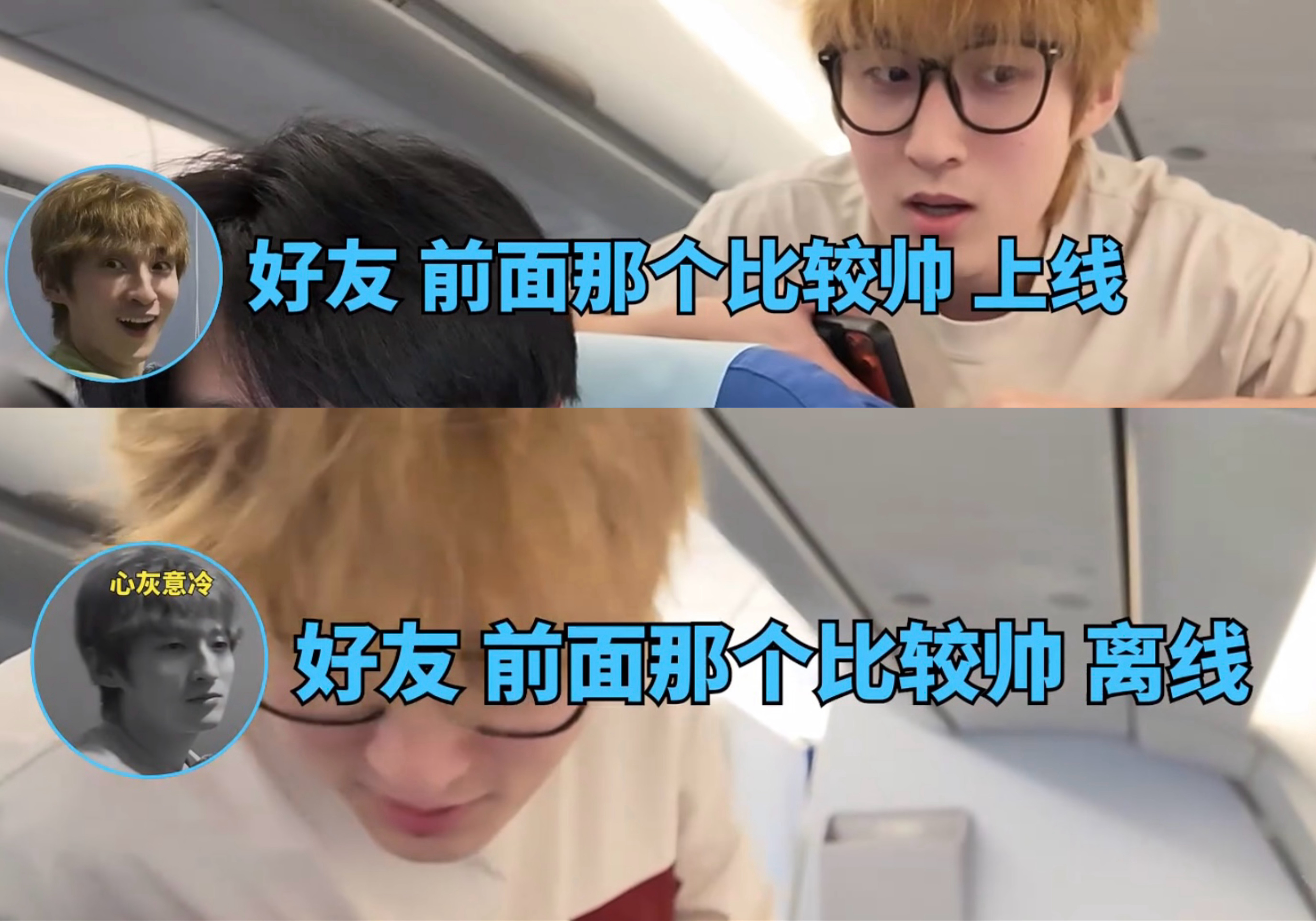 理论组  还在宠！ 