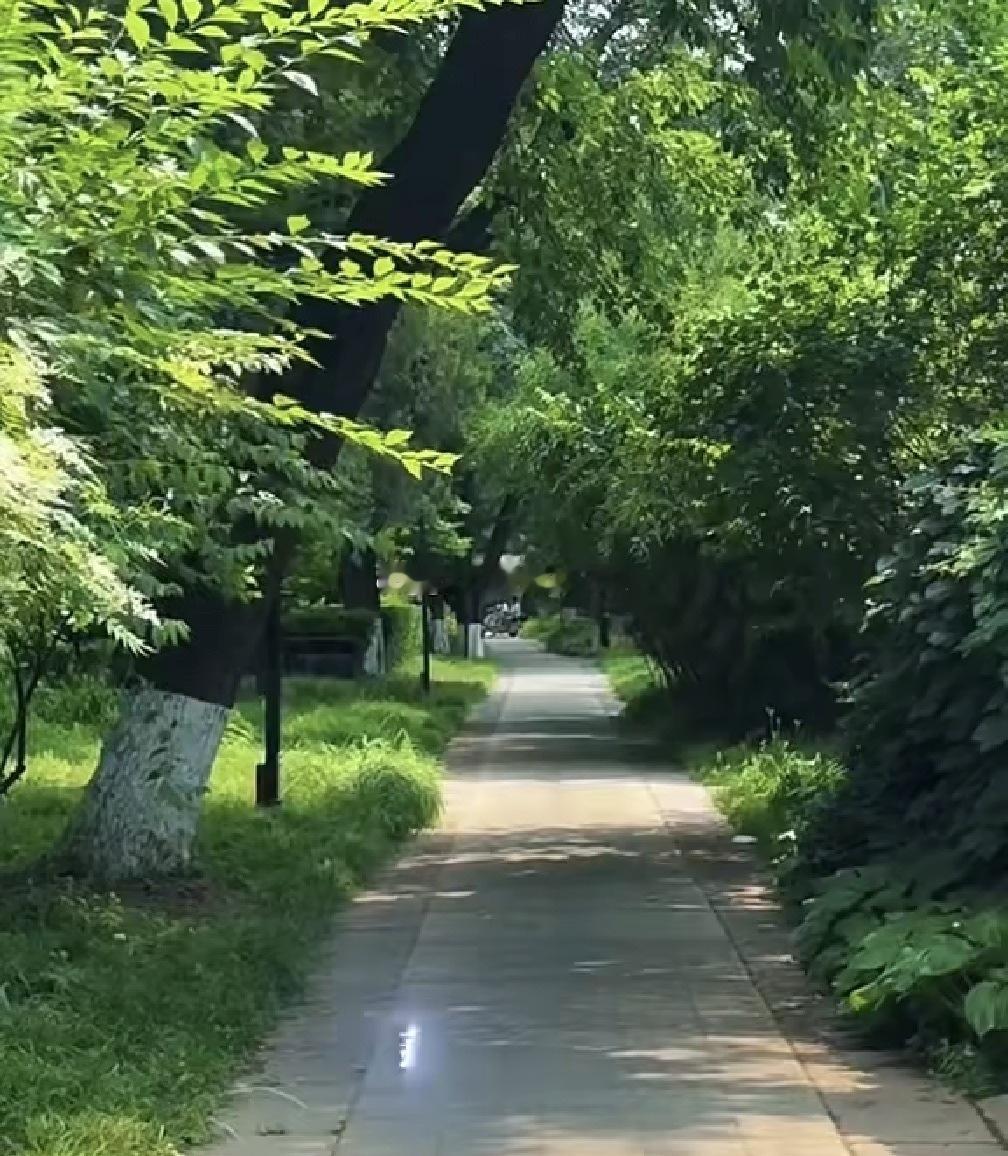 我们在平日的生活中，面对固执与偏见的人或事，沉默往往是最有力、也最体面的回应。你