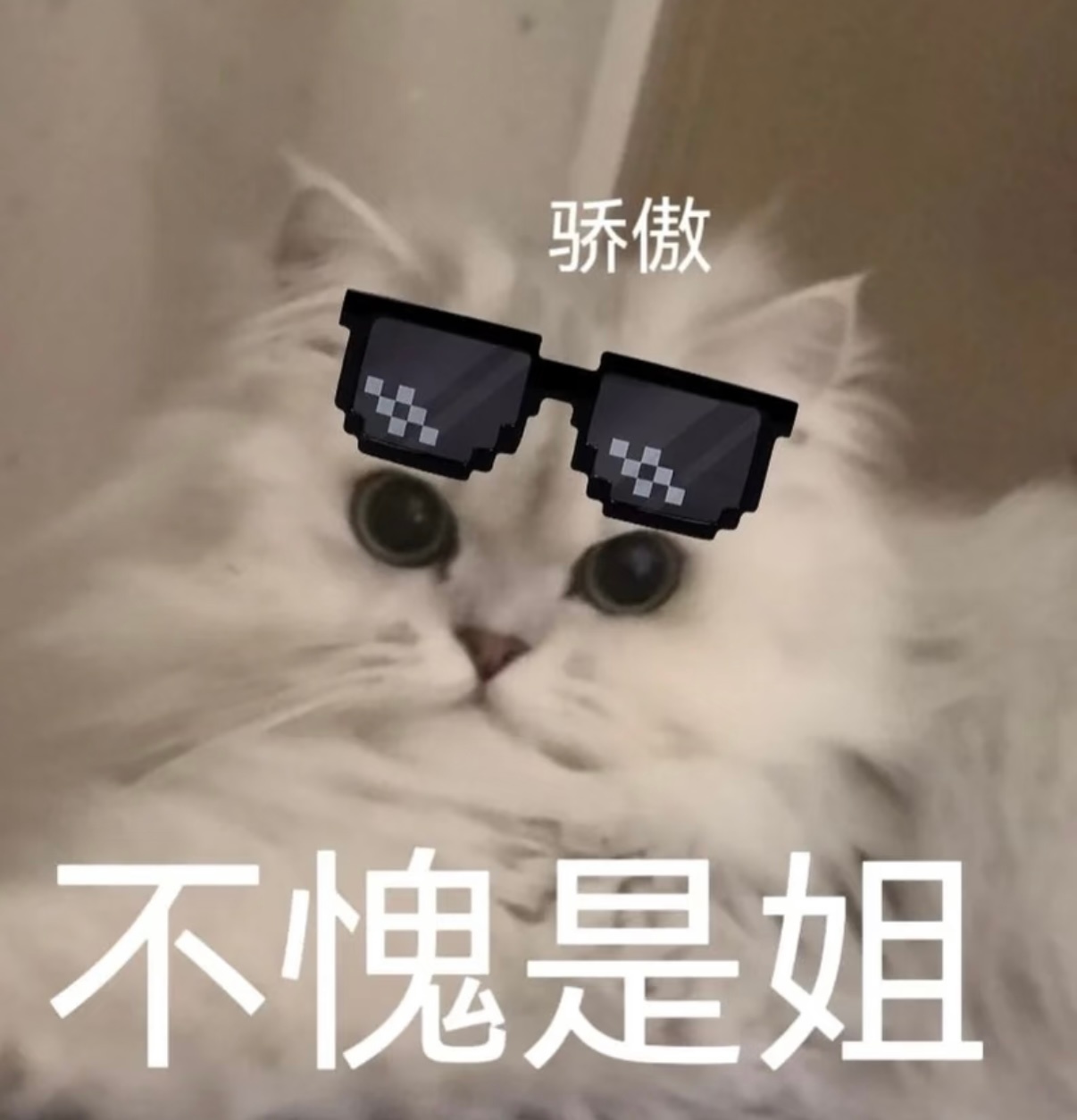 专门给姐投地广庆生的品牌还在持续加码ingBKT：痛楼➕地广SW：7城地广小野和