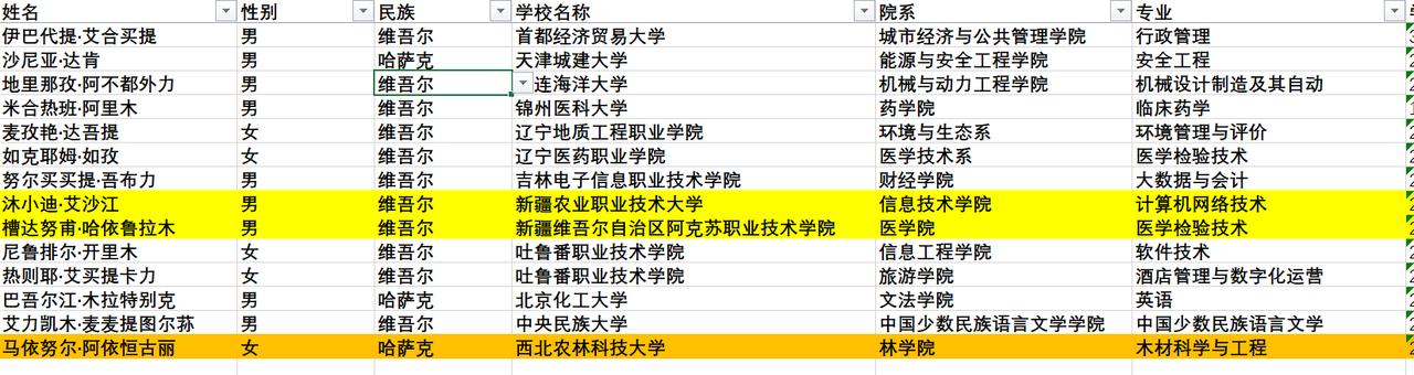 分析2024年维族国奖获得者（94人）的名字，发现3个有意思的名字：

①维吾尔