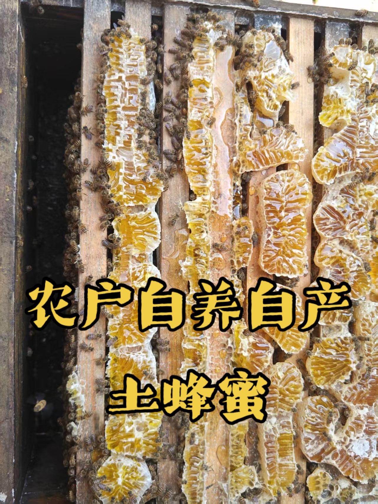 对，我就是的帮村民卖土蜂蜜的村支书，这样品质的土蜂蜜是你一直在找的蜂蜜吗？小叶支