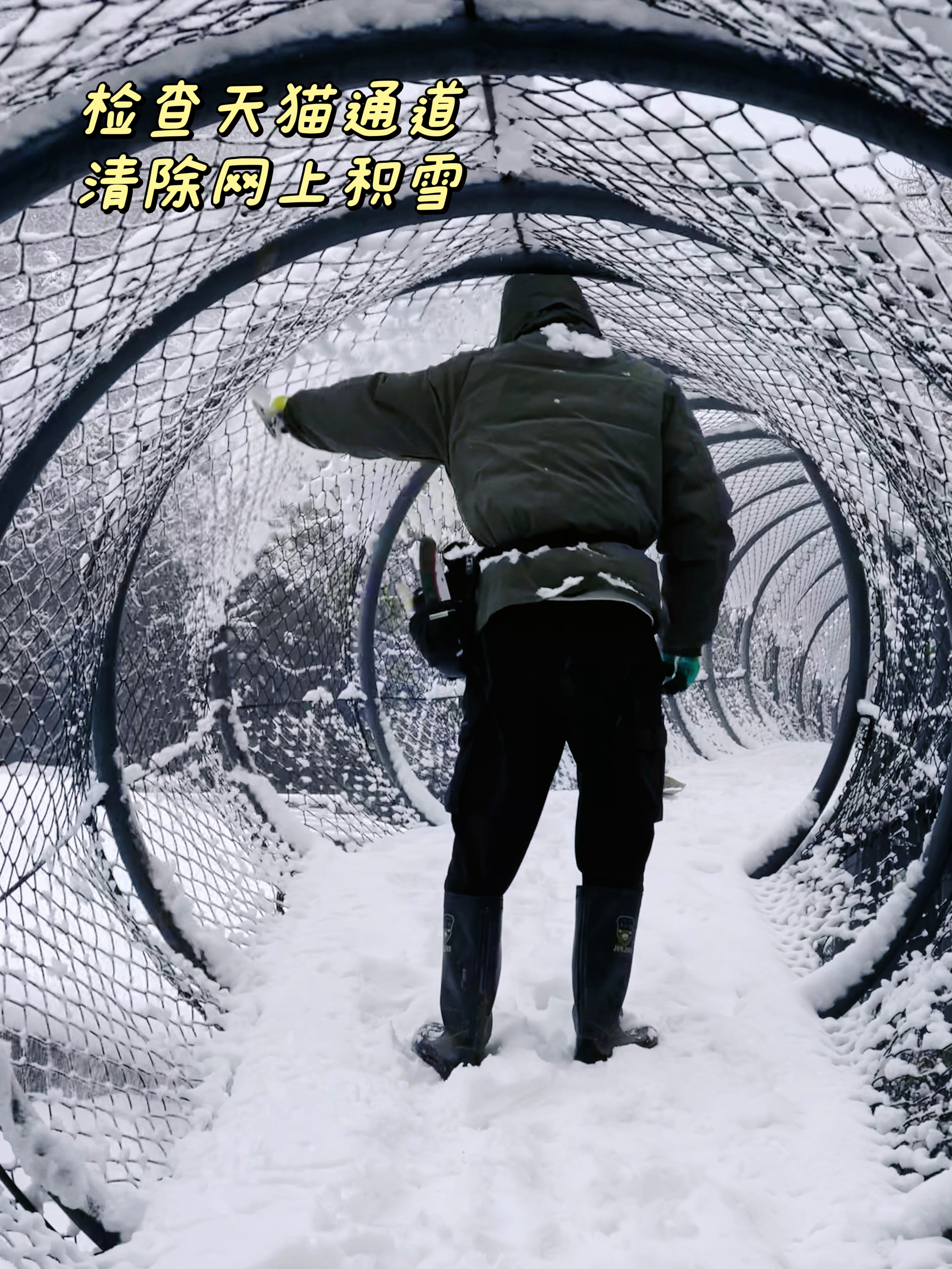 #南京市红山森林动物园##南京市红山森林动物园[超话]##红山虎馆# 下雪天做了
