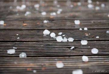 凤凰新闻【今天午后北京有雷雨，局地伴有短时强降水和冰雹】今天（6月3日）午后，北