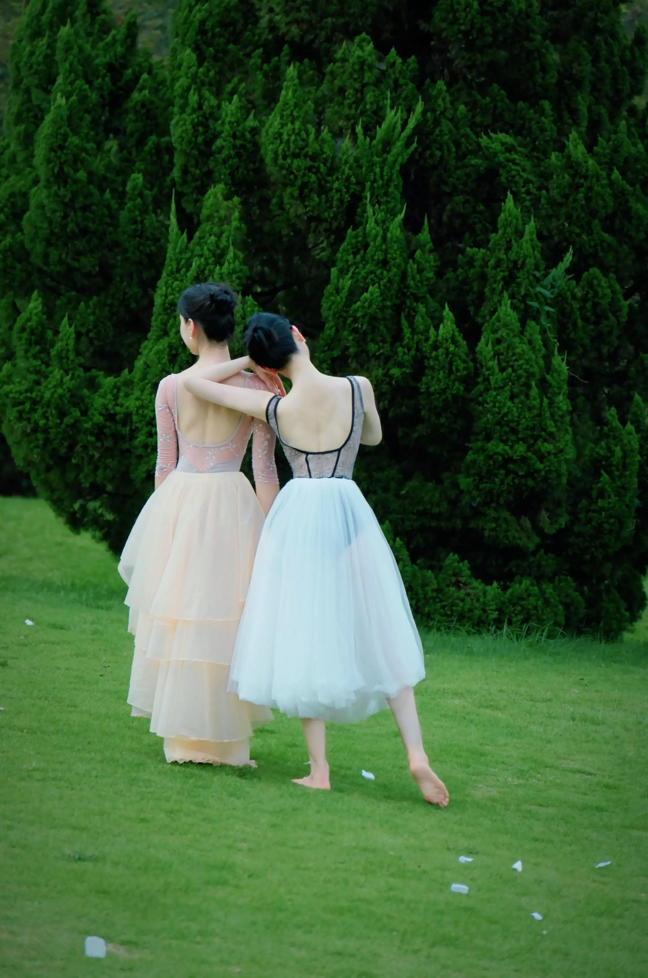 仲夏🌳你🍃我。