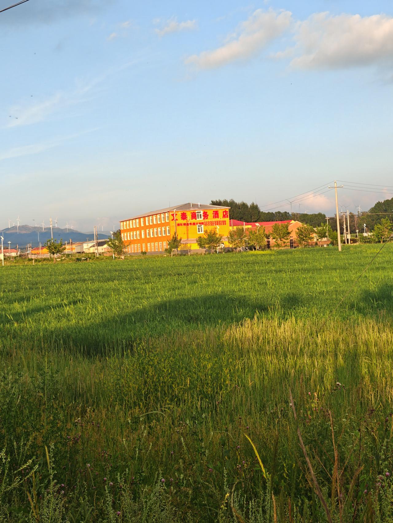 在草原避暑时，晚饭后常和大家一起散步，沿着街往南走，到村口再向西走一条小公路，这