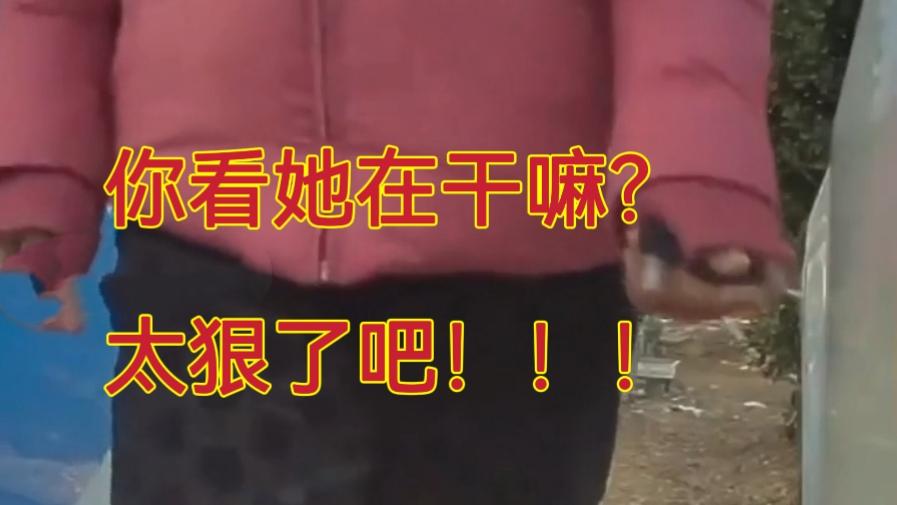 深仇大恨还是随机作恶？神秘女子现身河北街头，那一声金属摩擦声背后藏着什么？

哎