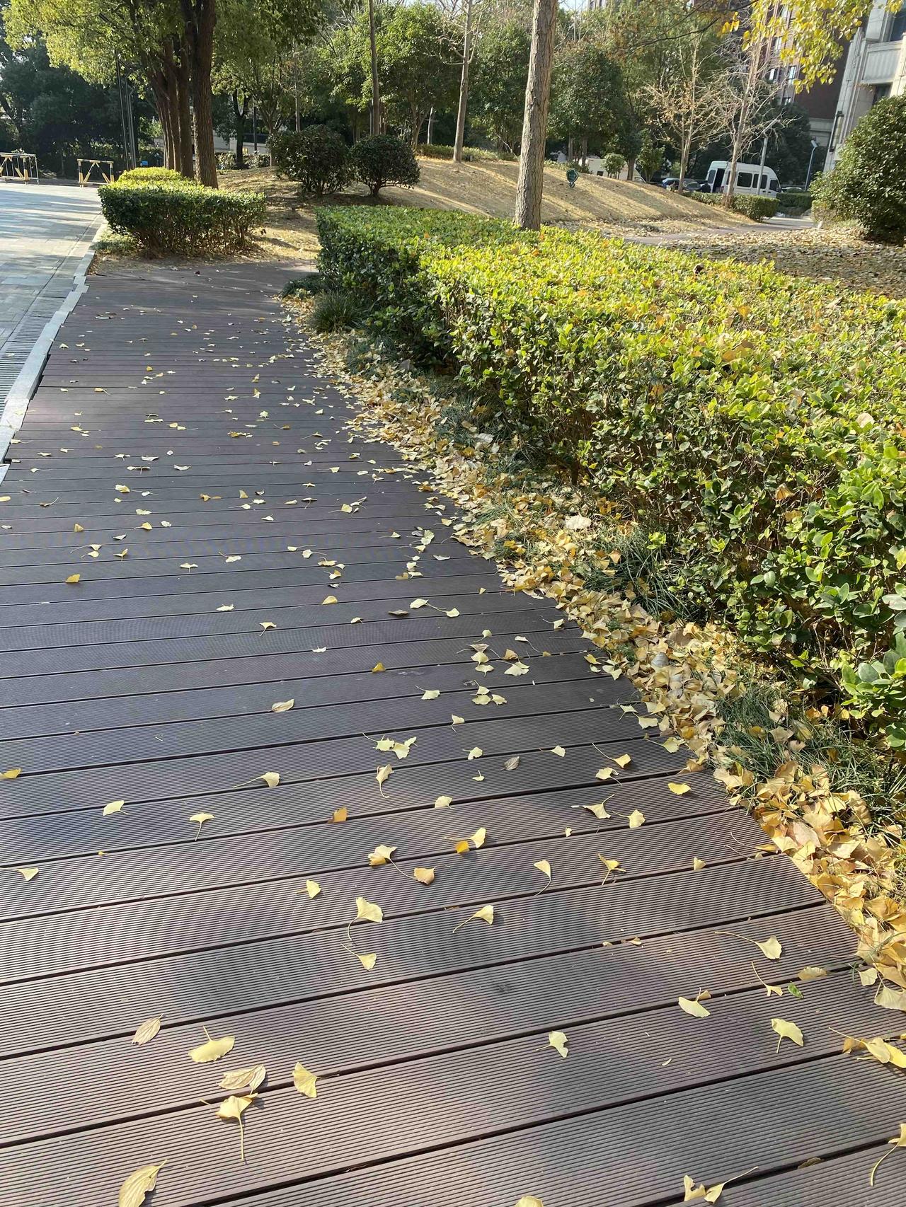 “一个女人最宝贵的能力并非是外在的美丽或者经济的独立，而是在任何情况下都能找到快