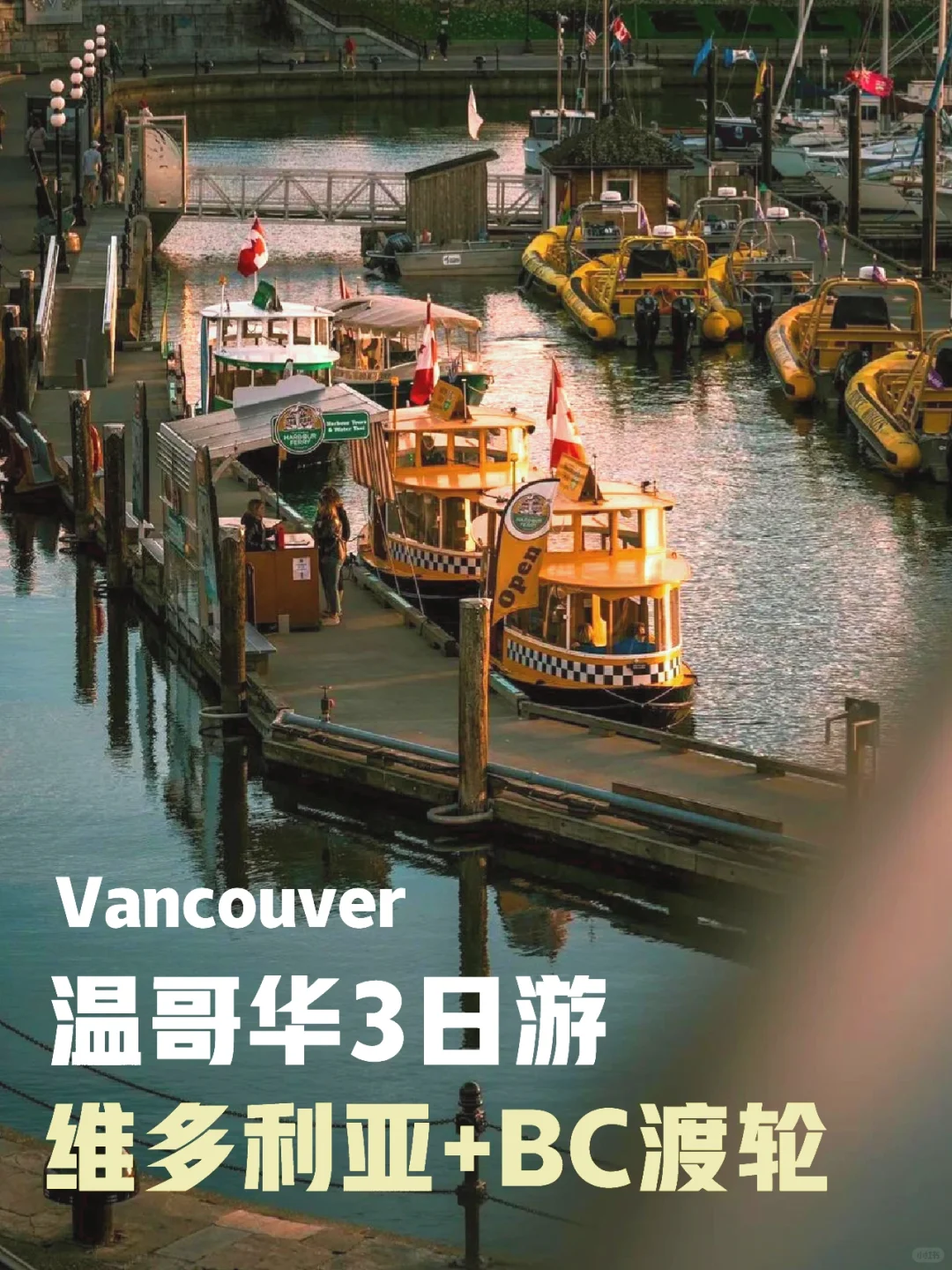 🇨🇦温哥华🔜 BC维多利亚3日游路线·含渡轮