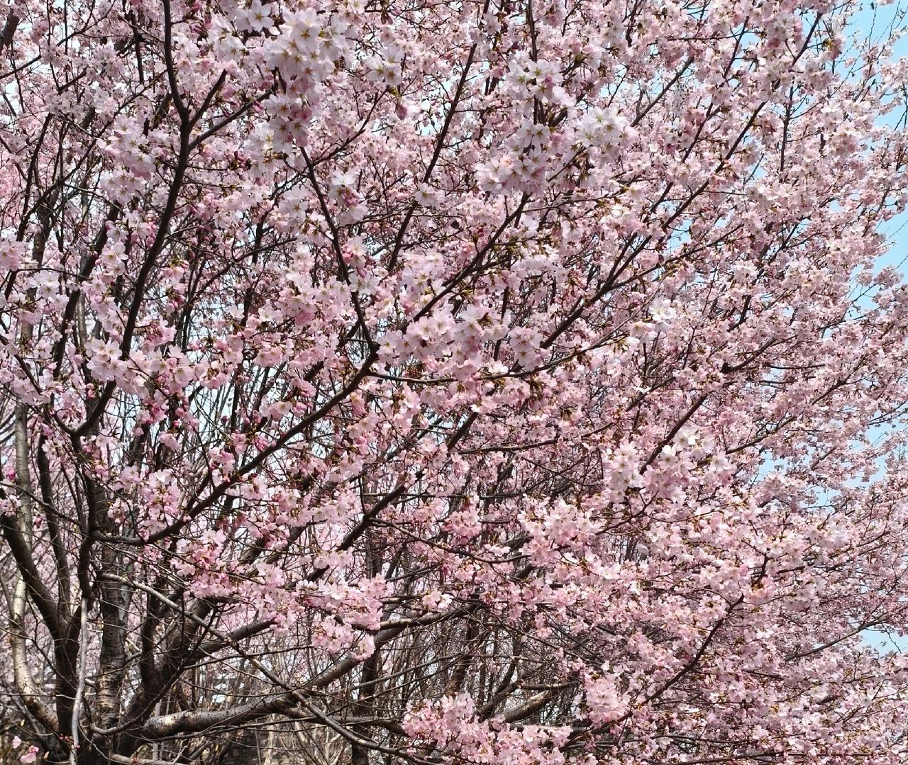 带定位晒今日生活