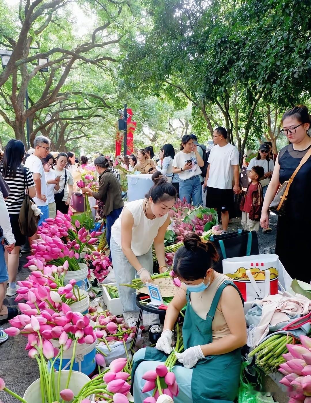 苏州人民的浪漫不来感受一下嘛
​白塔公园 荷花市集
1-2元一朵，18点收摊